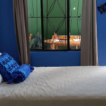 Apartament Chazu #1 y chazu #2 Quepos Zewnętrze zdjęcie